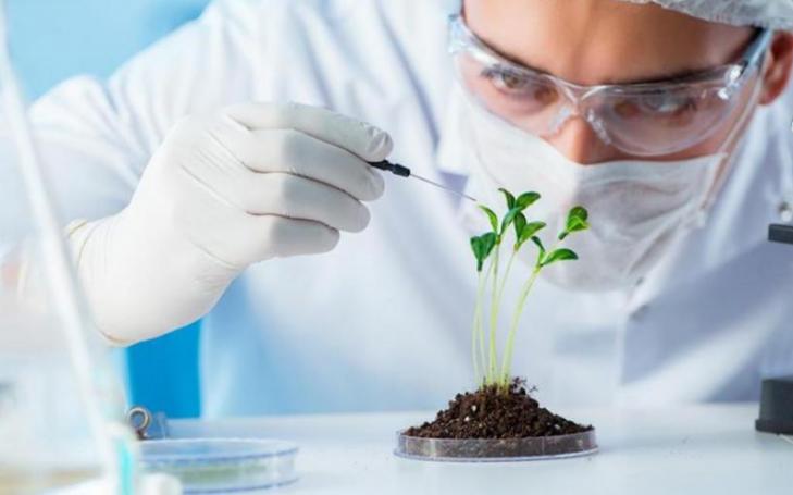 Last year, UCAM invested 17 million in research