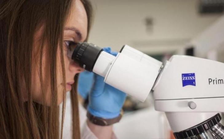 The new cluster ‘Life Sciences’ will put knowledge at the service of society (file photo)