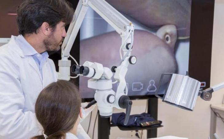Extensive catalog of master degrees in a wide variety of areas, such as business, communication, marketing, tourism, sports, education, health, law, nutrition and engineering.