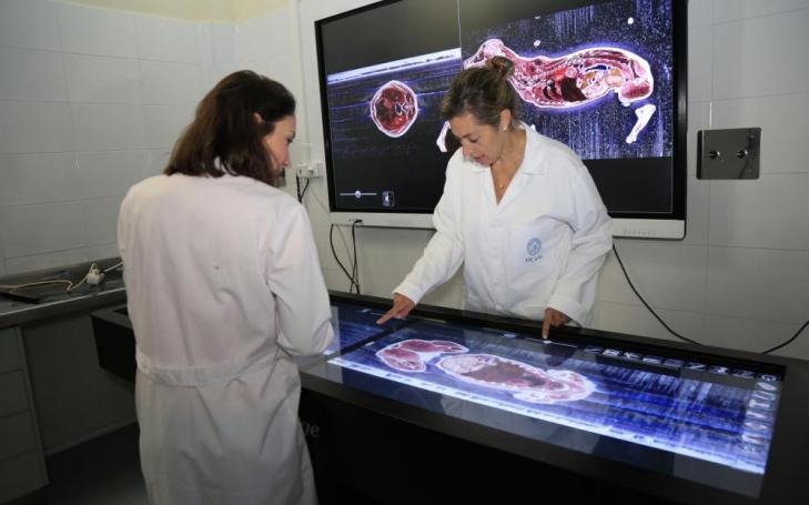 UCAM will be teaching Bilingual Veterinary Medicine in the upcoming academic year