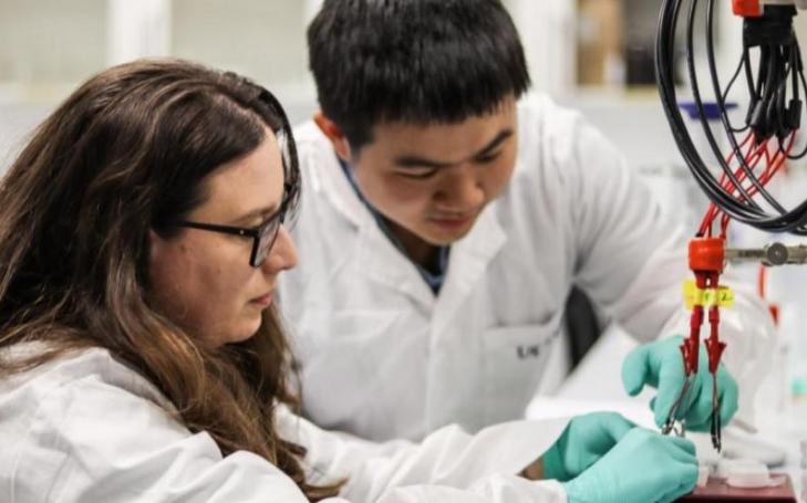 Águeda Molinero and Qianyu Wang working on the development of the sensor in one of the UCAM HiTech labs.