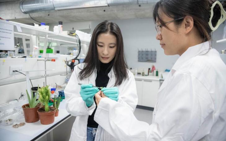 Two researchers from the UCAM-SENS team, in one of the hub laboratories at the Universidad Católica de Murcia.
