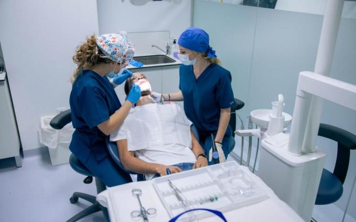 Practical training and direct contact with the profession are key for future professionals.