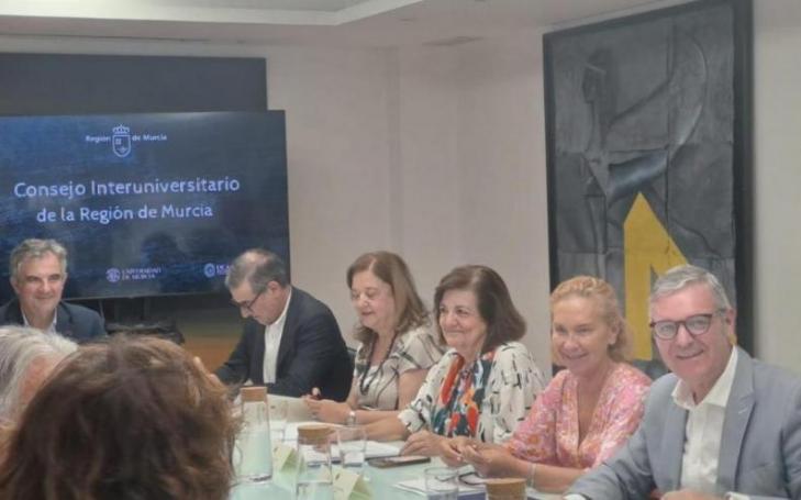 A snapshot of the Inter-University Council meeting