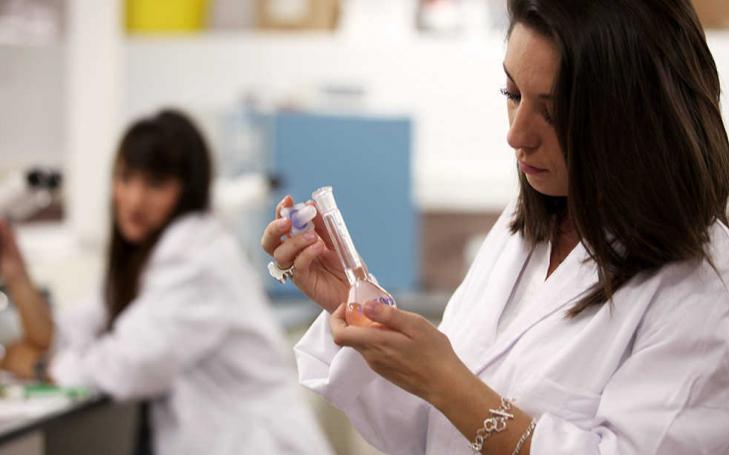 Specialization, an added value in the job search