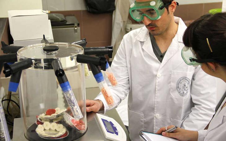 Applications open for postdoctoral fellowships for PHDs from foreign institutions Applications open for postdoctoral fellowships for PHDs from foreign institutions