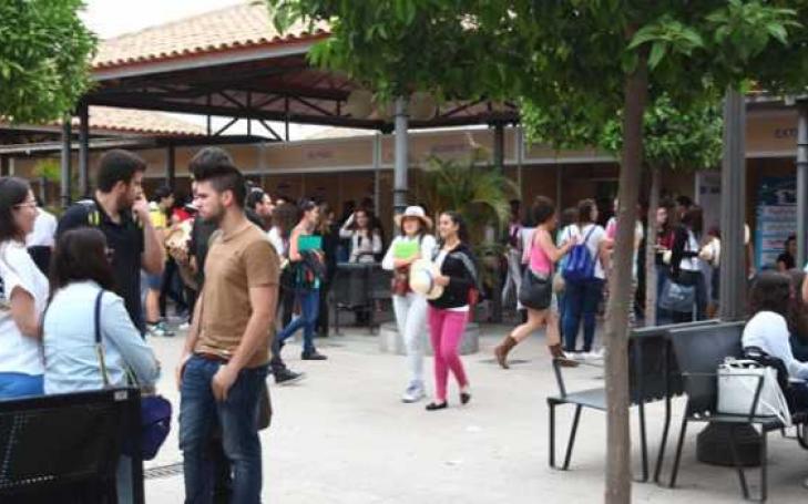 UCAM students find their first job in three months