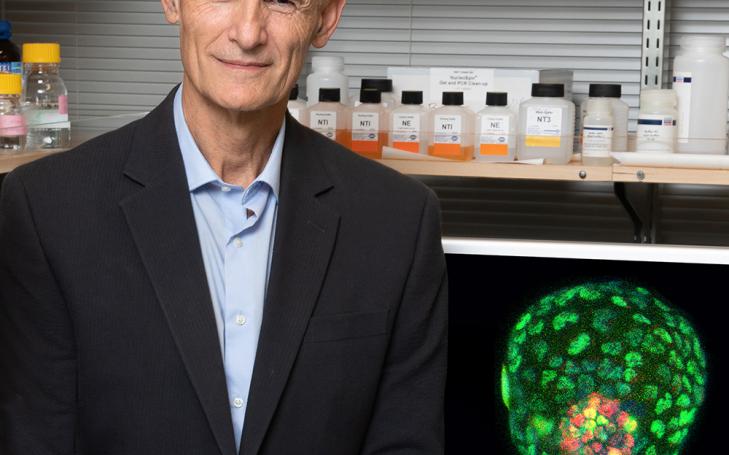 Izpisua creates synthetic mouse embryos to gain more knowledge about the beginning of life and human health Izpisua creates synthetic mouse embryos to gain more knowledge about the beginning of life and human health