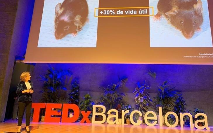 TEDx highlights UCAM&#039;s research to reverse ageing