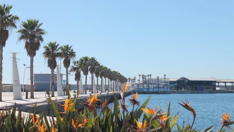 Trip to Alicante - Volvo Ocean Race 2017