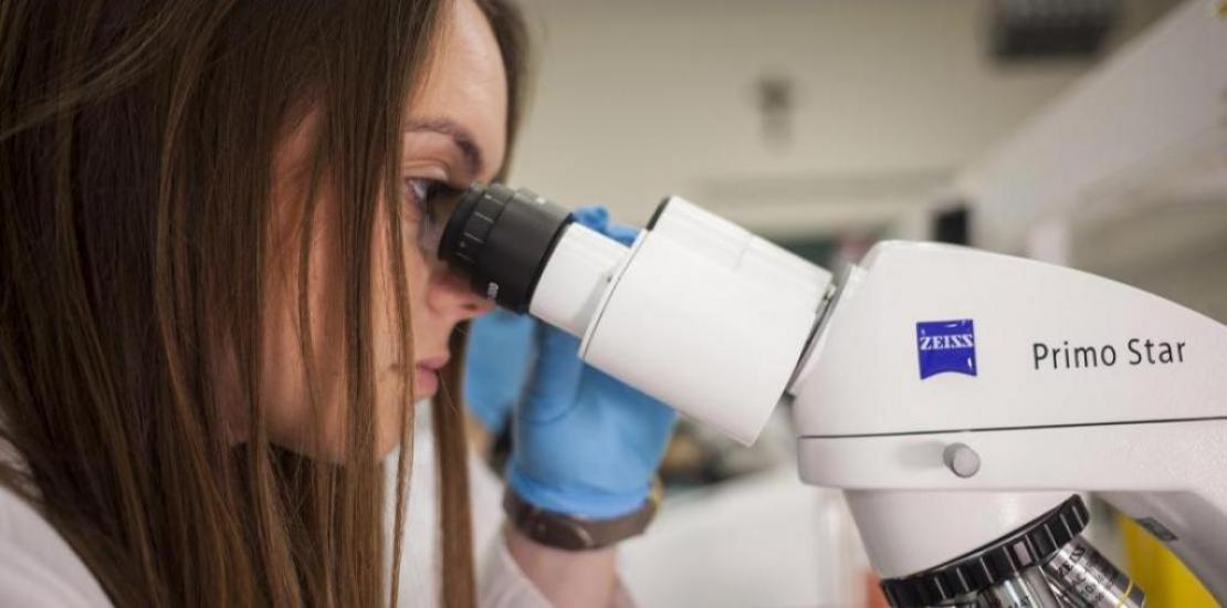 The new cluster ‘Life Sciences’ will put knowledge at the service of society (file photo)