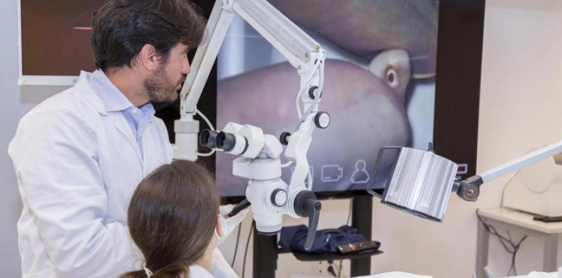 Extensive catalog of master degrees in a wide variety of areas, such as business, communication, marketing, tourism, sports, education, health, law, nutrition and engineering.