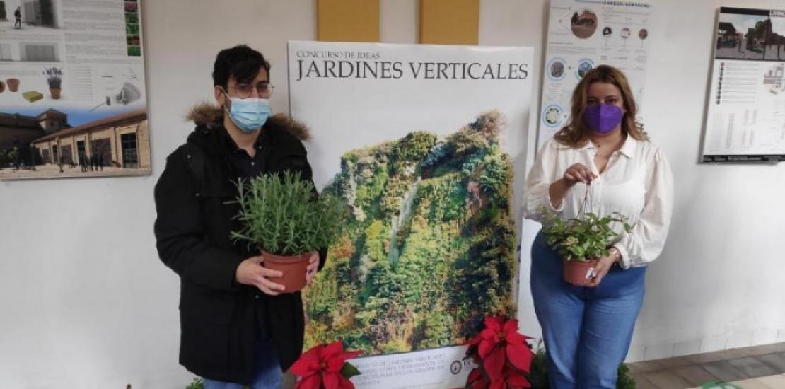 students design vertical gardens