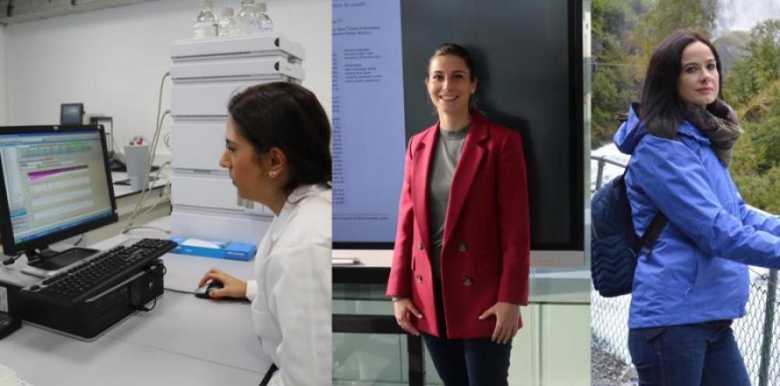 The awards are in the categories of Engineering and Technology, Basic and Experimental Sciences, and Social Sciences.