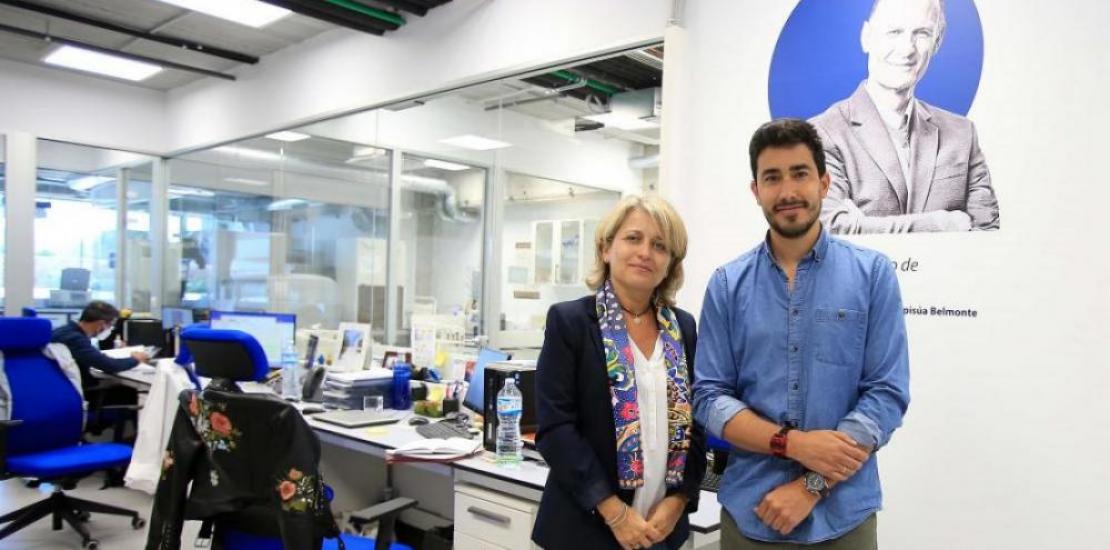 Estrella Núñez and Rubén Rabadán, co-authors of the article, in the 'Izpisua Belmonte' laboratory at UCAM HiTech.