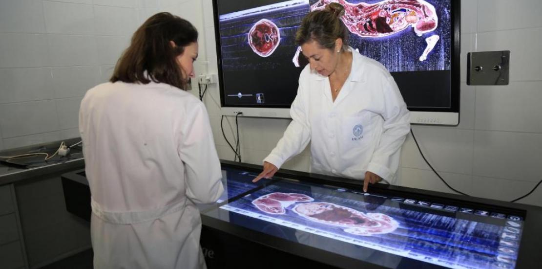 UCAM will be teaching Bilingual Veterinary Medicine in the upcoming academic year