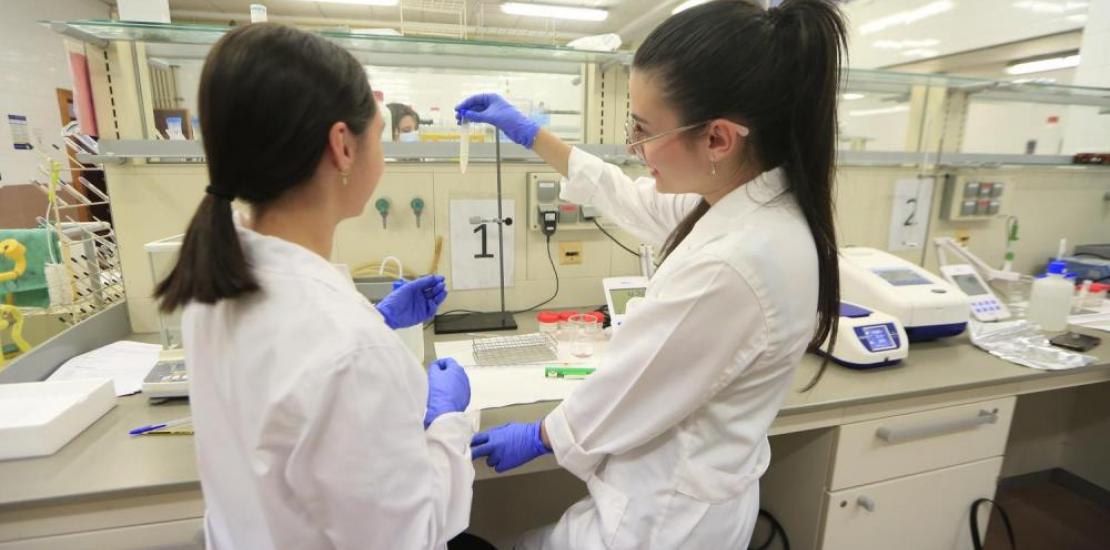Students of the UCAM Degree in Human Nutrition and Dietetics during an internship in one of the laboratories of the Murcia Campus.