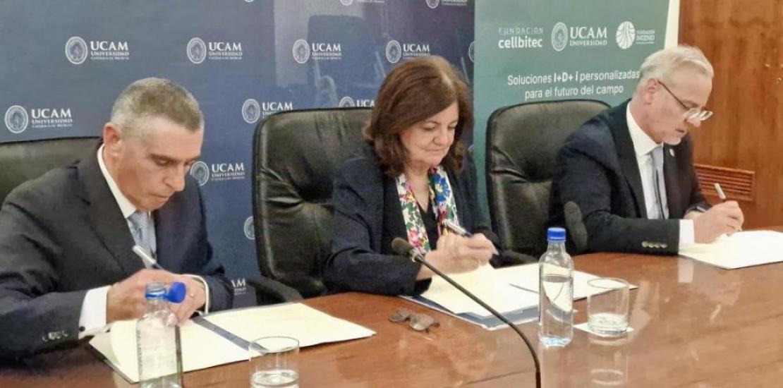 Adolfo García, presidente de Fundación Ingenio, María Dolores García Mascarell, presidenta de la UCAM, y Francisco José Bermúdez, fundador de Beyond Seeds, firmando la constitución de AINNOA.