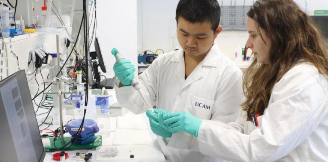 Researchers Águeda Molinero and Qianyu Wang, directed by professors María Cuartero and Gastón Crespo, co-directors of the UCAM SENS Sensor Chemistry Unit.