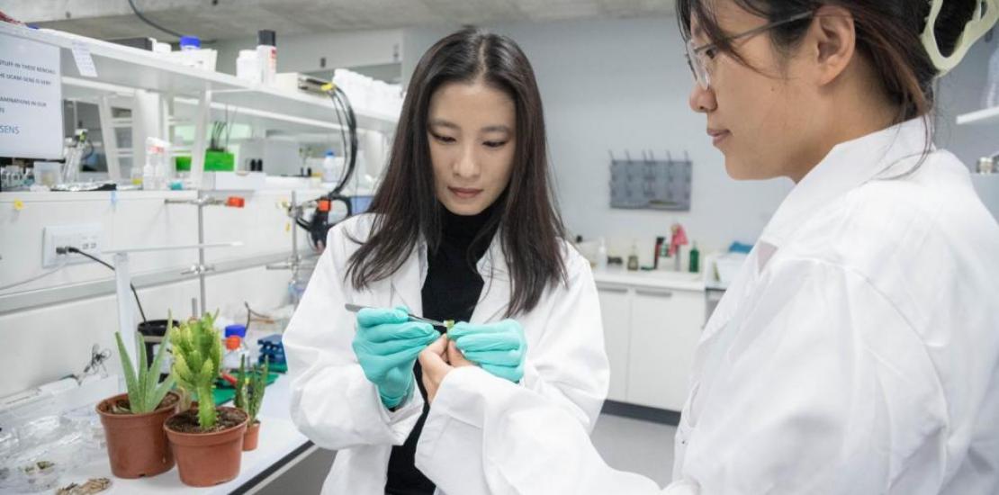 Two researchers from the UCAM-SENS team, in one of the hub laboratories at the Universidad Católica de Murcia.