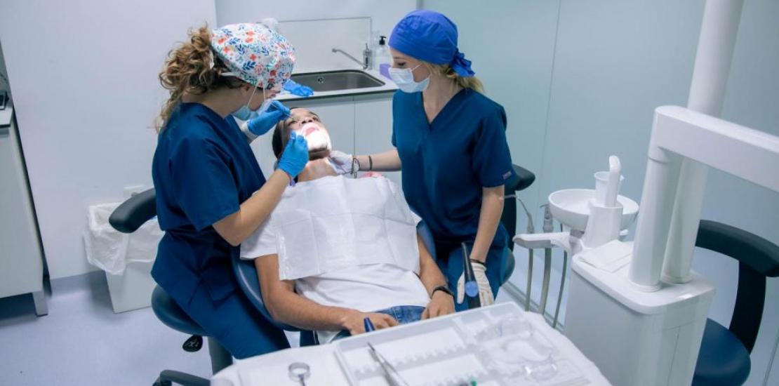 Practical training and direct contact with the profession are key for future professionals.