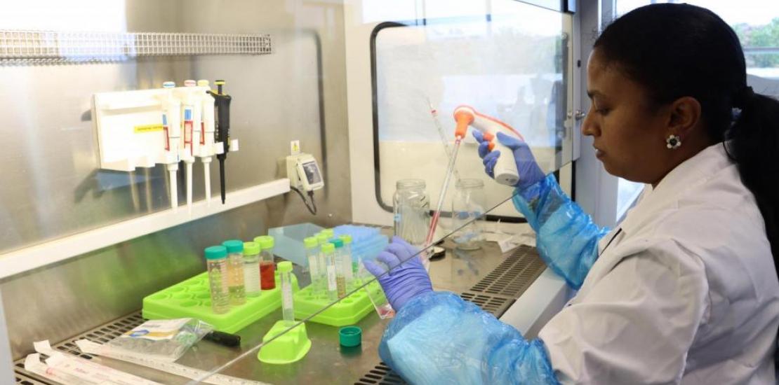 Researcher Lakshmi Jeevithan in one of the laboratories of the Universidad Católica de Murcia.
