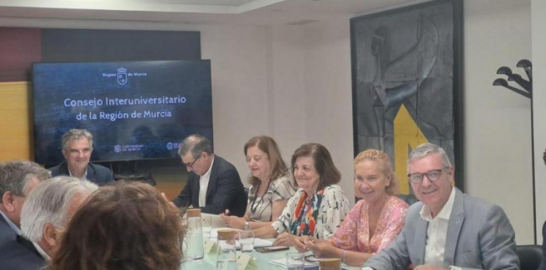 A snapshot of the Inter-University Council meeting