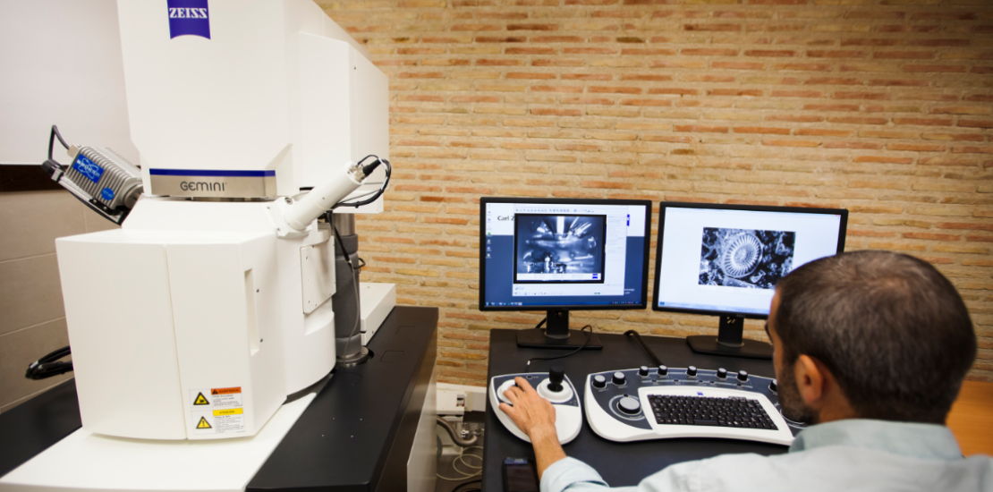 Scanning Electron microscope allows research progress in criminology, food science and engineering Scanning Electron microscope allows research progress in criminology, food science and engineering
