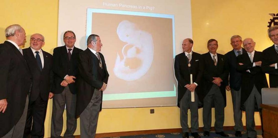 Dr Izpisua, proclaimed Member of Honour of the Royal Academy of Medicine and Surgery Dr Izpisua, proclaimed Member of Honour of the Royal Academy of Medicine and Surgery