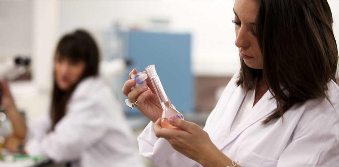 Specialization, an added value in the job search