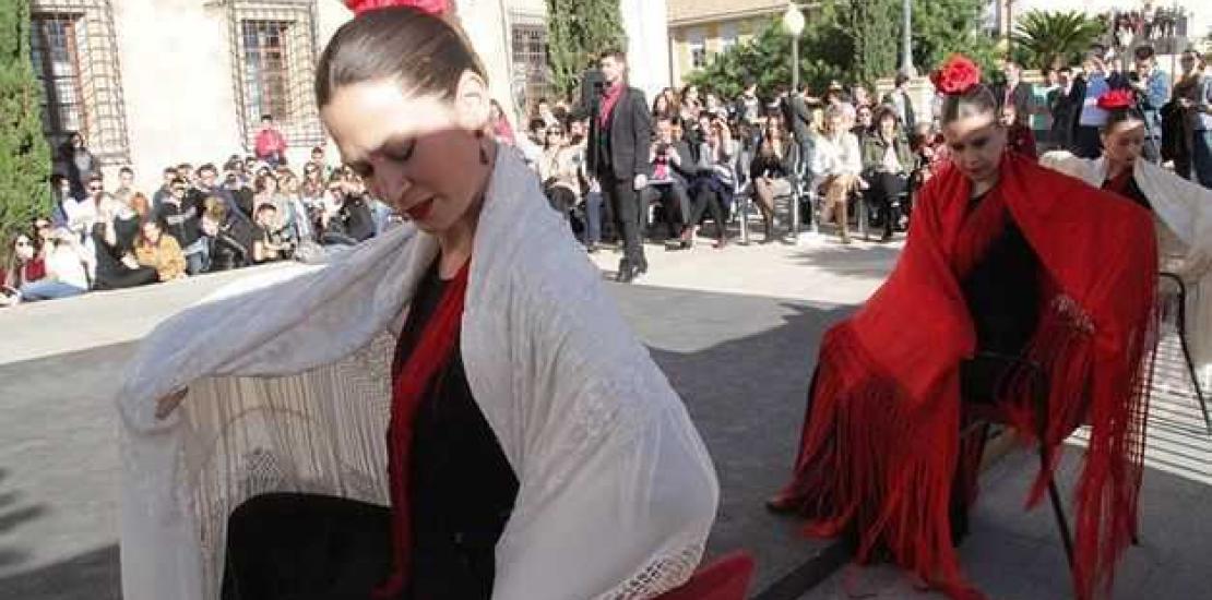 "Each flamenco artist is unique and unrepeated"- Suarez Japon "Each flamenco artist is unique and unrepeated"- Suarez Japon