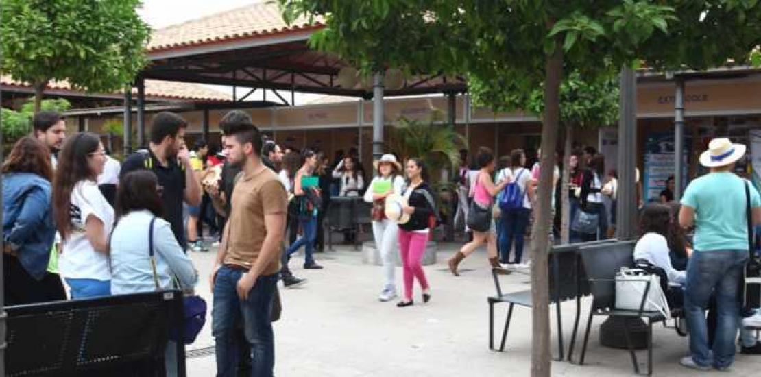 UCAM students find their first job in three months UCAM students find their first job in three months