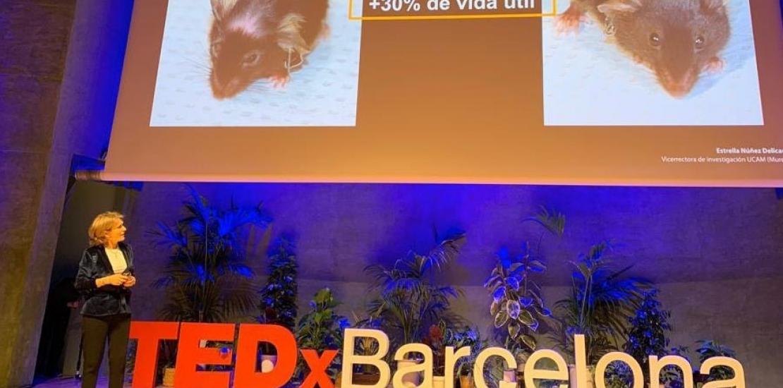 TEDx highlights UCAM's research to reverse ageing TEDx highlights UCAM's research to reverse ageing