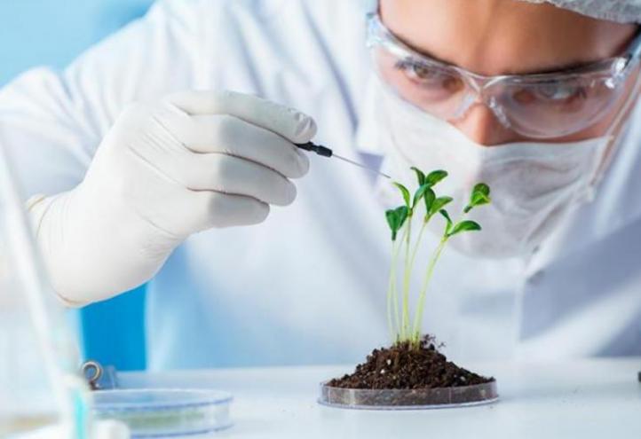 Last year, UCAM invested 17 million in research