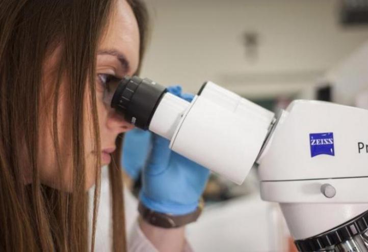 The new cluster ‘Life Sciences’ will put knowledge at the service of society (file photo)