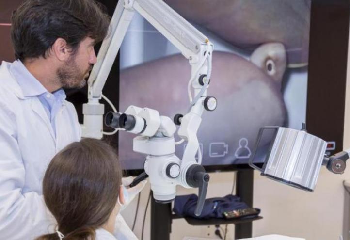 Extensive catalog of master degrees in a wide variety of areas, such as business, communication, marketing, tourism, sports, education, health, law, nutrition and engineering.