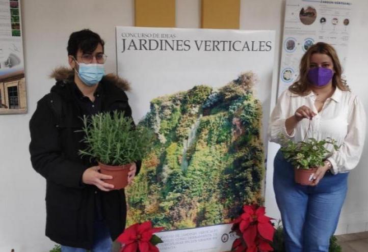 students design vertical gardens