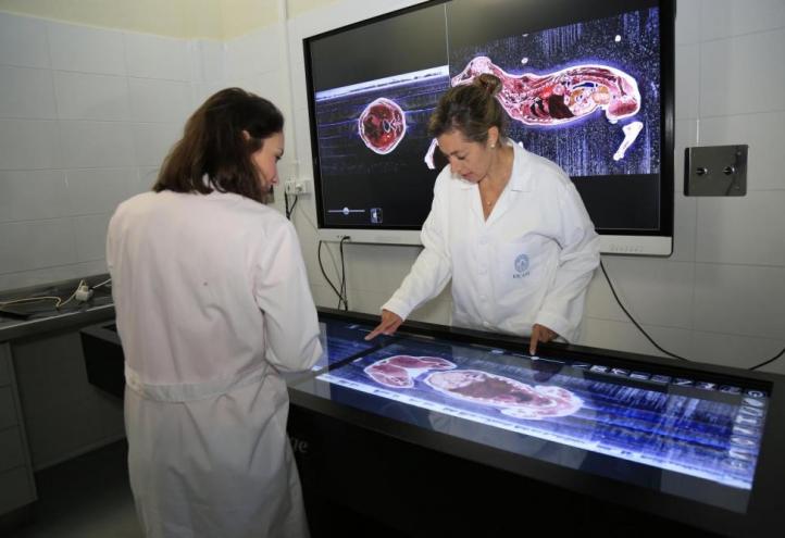 UCAM will be teaching Bilingual Veterinary Medicine in the upcoming academic year