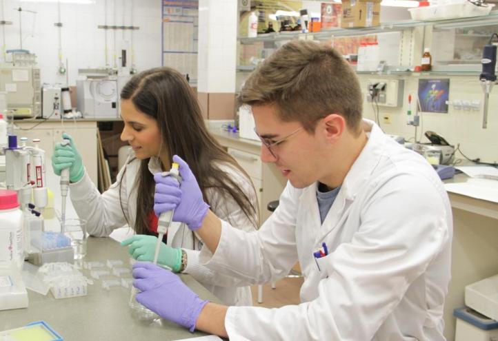 Postgraduate Courses for Broad Specialisation