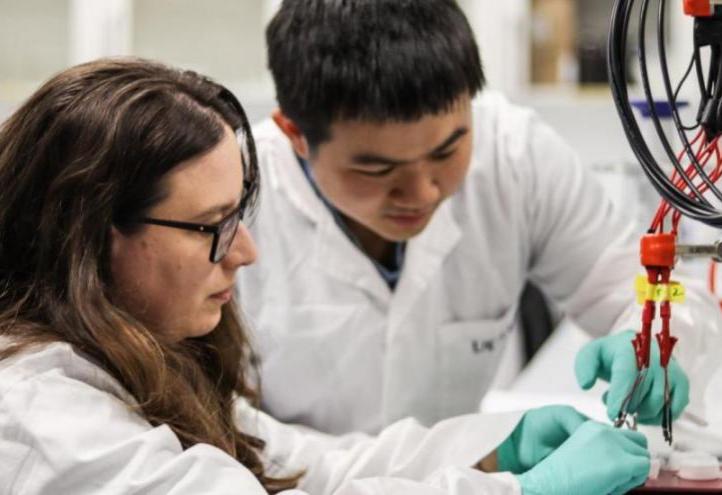 Águeda Molinero and Qianyu Wang working on the development of the sensor in one of the UCAM HiTech labs.