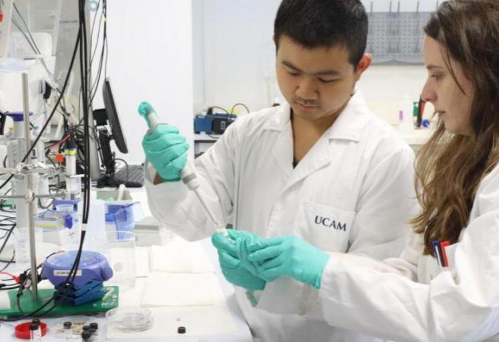 Researchers Águeda Molinero and Qianyu Wang, directed by professors María Cuartero and Gastón Crespo, co-directors of the UCAM SENS Sensor Chemistry Unit.