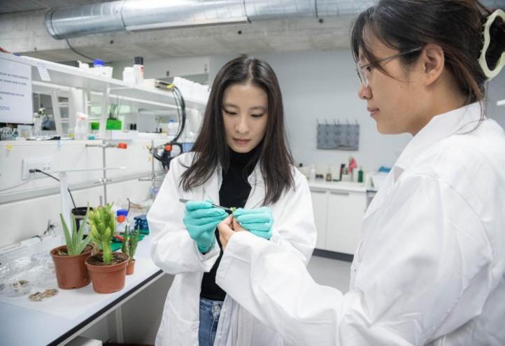 Two researchers from the UCAM-SENS team, in one of the hub laboratories at the Universidad Católica de Murcia.