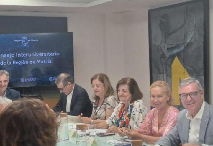 A snapshot of the Inter-University Council meeting