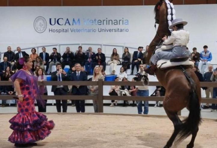 A horse show and musical performance concluded the opening ceremony