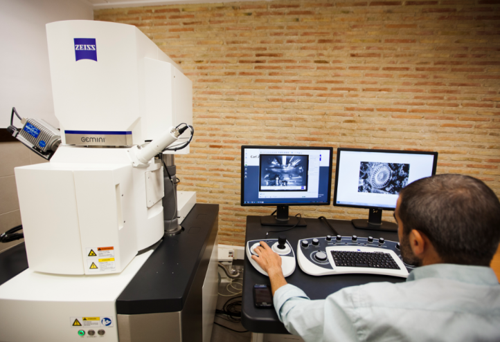 Scanning E​lectron microscope allows research progress in criminology, food science and engineering