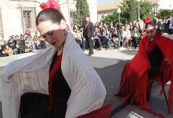 &quot;Each flamenco artist is unique and unrepeated&quot;- Suarez Japon