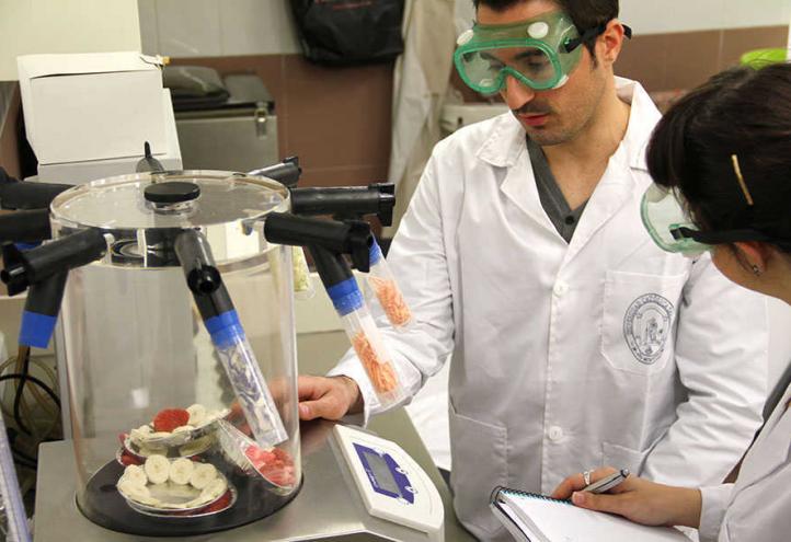 Applications open for postdoctoral fellowships for PHDs from foreign institutions