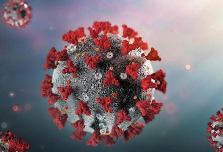 UCAM finances 24 research projects on Covid-19