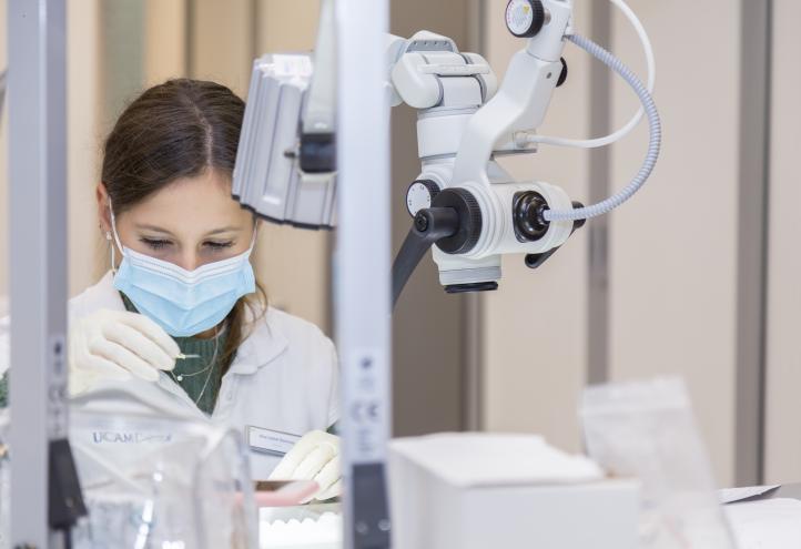 UCAM will implement a ‘Covid free’ protocol on its campuses for the next year