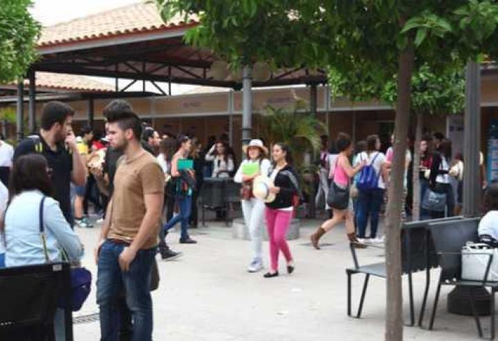 UCAM students find their first job in three months